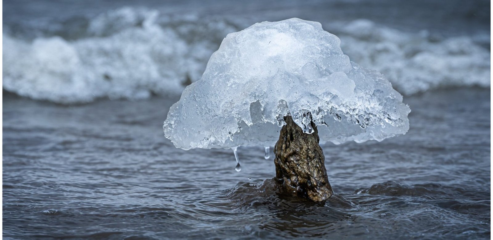 Brief Moment in Time