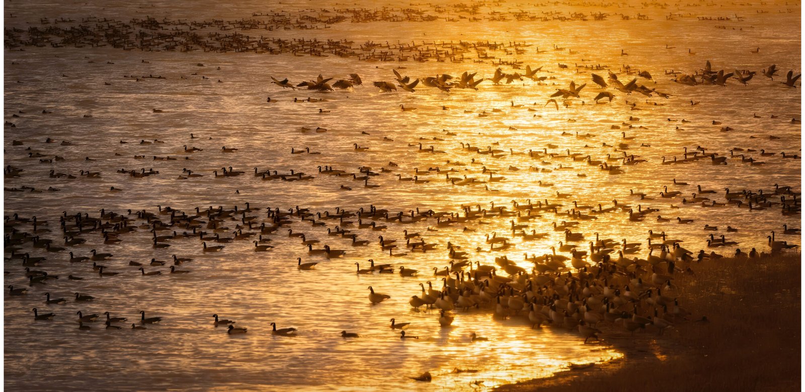 Wheatland-Reservoir---Early-Morning-Light